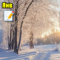 Отчет за январь 2026: мимолетный месяц...